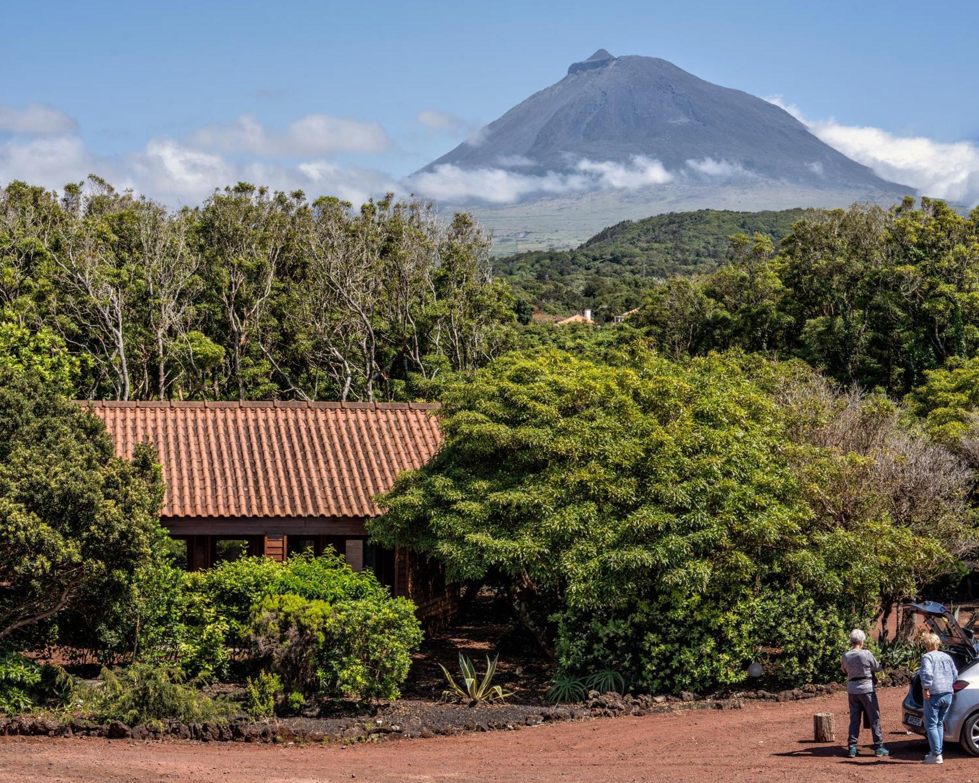 Alma Do Pico - Nature Residence Madalena  Exterior photo
