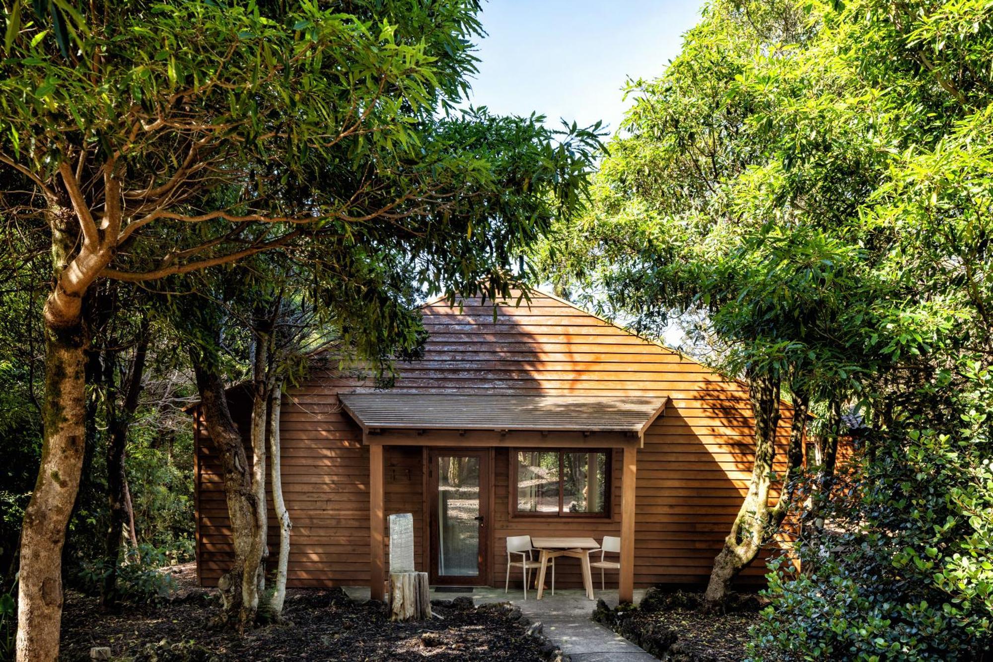 Alma Do Pico - Nature Residence Madalena  Exterior photo