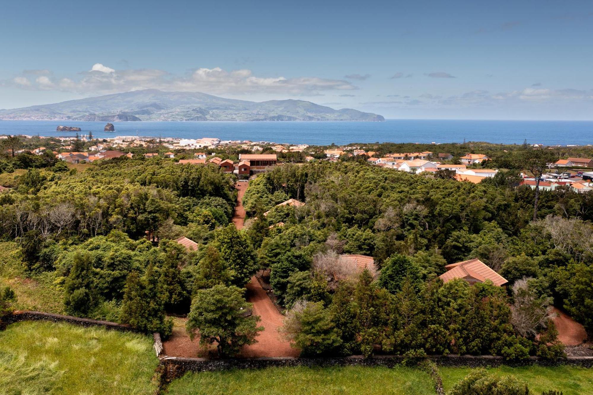 Alma Do Pico - Nature Residence Madalena  Exterior photo