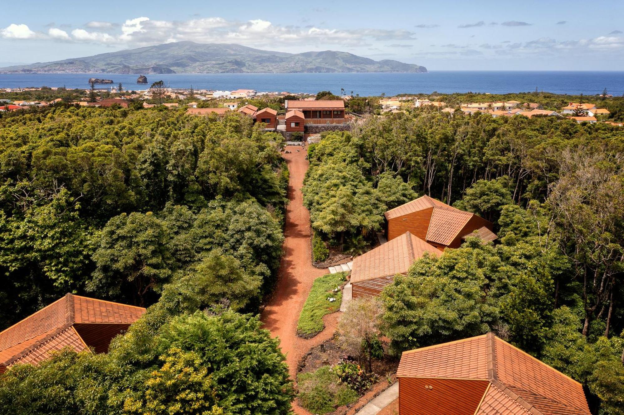 Alma Do Pico - Nature Residence Madalena  Exterior photo